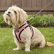 Show in main carousel: Best Pet Supplies Voyager Black Trim Mesh Dog Harness, Pink, Medium slide 7 of 10