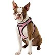Show in main carousel: Best Pet Supplies Voyager Black Trim Mesh Dog Harness, Pink, Medium slide 5 of 10