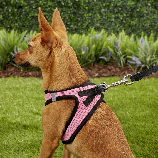 Show full view: Best Pet Supplies Voyager Black Trim Mesh Dog Harness, Pink, Small slide 7 of 10