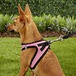 Show in main carousel: Best Pet Supplies Voyager Black Trim Mesh Dog Harness, Pink, Small slide 7 of 10