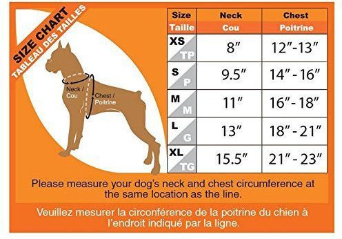 Show full view: Best Pet Supplies Voyager Black Trim Mesh Dog Harness, Blue, X-Large slide 9 of 10