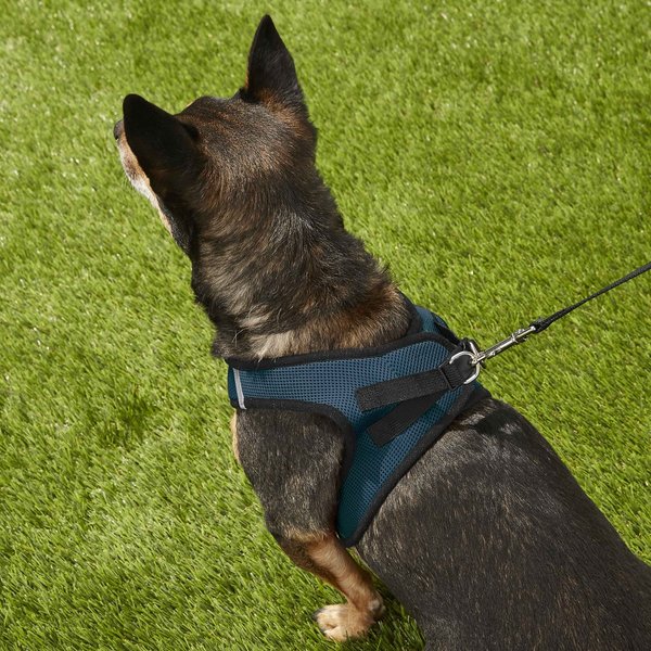 Show full view: Best Pet Supplies Voyager Black Trim Mesh Dog Harness, Blue, X-Large slide 8 of 10