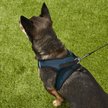 Show in main carousel: Best Pet Supplies Voyager Black Trim Mesh Dog Harness, Blue, X-Large slide 8 of 10