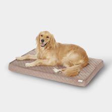 Orthopedic dog beds