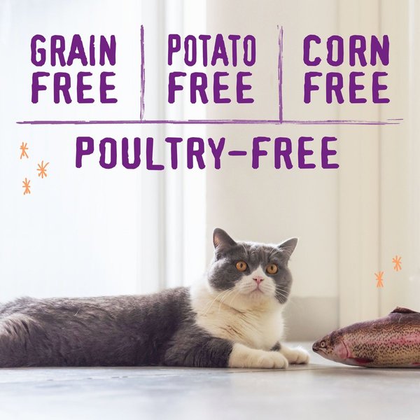 Show full view: Stella & Chewy's Raw Blend Wild Caught Recipe Dry Cat Food, 2.27-kg bag slide 4 of 9