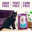 Show in main carousel: Stella & Chewy's Chicken Flavored Raw Coated Cage Free Dry Cat Food, 4.54-kg bag slide 6 of 9