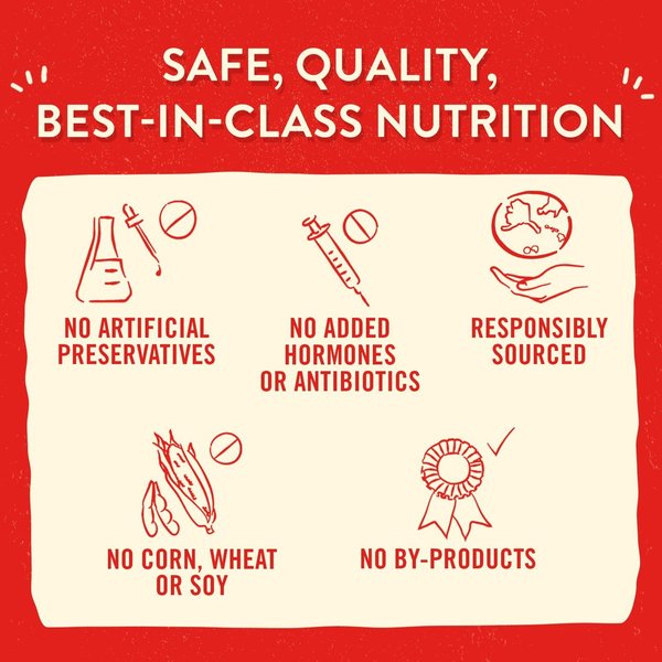 Show full view: Stella & Chewy's Lil' Bites Itty Bitty Beef Recipe Small Breed Freeze-Dried Raw Dog Food, 7-oz bag slide 7 of 8