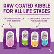 Show in main carousel: Stella & Chewy's Chicken Flavored Raw Coated Cage-Free Kitten Dry Cat Food, 2.27-kg bag slide 8 of 9