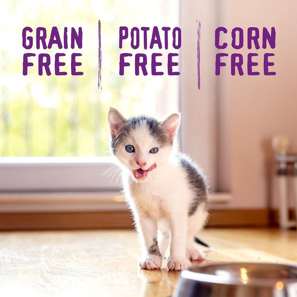 Show full view: Stella & Chewy's Chicken Flavored Raw Coated Cage-Free Kitten Dry Cat Food, 2.27-kg bag slide 7 of 9