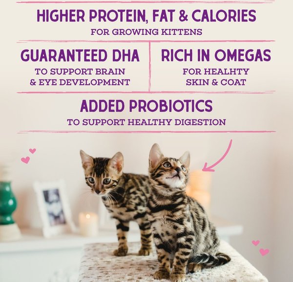 Show full view: Stella & Chewy's Chicken Flavored Raw Coated Cage-Free Kitten Dry Cat Food, 1.13-kg bag slide 6 of 9