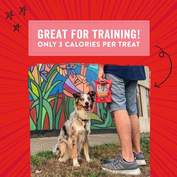 Show full view: Stella & Chewy's Crav'n Bac'n Bites Bacon & Pork Recipe Dog Treats, 8.25-oz bag slide 6 of 6