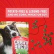 Show in main carousel: Stella & Chewy's Crav'n Bac'n Bites Bacon & Pork Recipe Dog Treats, 8.25-oz bag slide 5 of 6