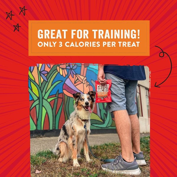 Show full view: Stella & Chewy's Crav'n Bac'n Bites Bacon & Beef Recipe Dog Treats, 8.25-oz bag slide 6 of 7