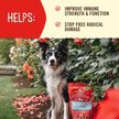 Show in main carousel: Stella & Chewy's Stella's Solutions Immune Boost Freeze-Dried Raw Grass-Fed Lamb Dinner Morsels Dog Food, 13-oz bag slide 4 of 8
