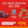 Show in main carousel: Stella & Chewy's Beef Liver Freeze-Dried Raw Dog Treats, 3-oz bag slide 5 of 9