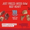 Show in main carousel: Stella & Chewy's Beef Heart Freeze-Dried Raw Dog Treats, 3-oz bag slide 5 of 9