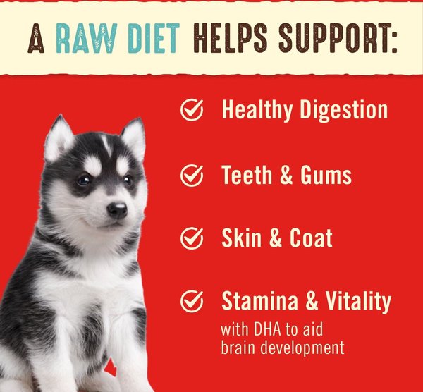 Show full view: Stella & Chewy's Perfectly Puppy Beef & Salmon Dinner Patties Freeze-Dried Raw Dog Food, 14-oz bag slide 4 of 8