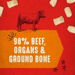 Show in main carousel: Stella & Chewy's Carnivore Crunch Grass-Fed Beef Recipe Freeze-Dried Raw Dog Treats, 3.25-oz bag slide 3 of 10