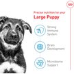 Show in main carousel: Royal Canin Size Health Nutrition Large Puppy Dry Dog Food, 1.81-kg bag slide 2 of 7
