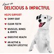 Show in main carousel: Stella & Chewy's Marie's Magical Breakfast Sprinkles Freeze-Dried Raw Breakfast Burger Recipe Grain-Free Dog Food Topper, 7-oz bag slide 5 of 10