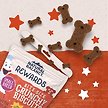 Show in main carousel: Natural Balance Rewards Crunchy Biscuits with Real Salmon Dog Treat, 227-g bag slide 4 of 10