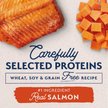 Show in main carousel: Natural Balance Limited Ingredient Grain-Free Salmon & Sweet Potato Recipe Dry Dog Food, 5.44-kg bag slide 4 of 10