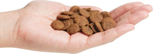 Show full view: Natural Balance Limited Ingredient Reserve Grain-Free Duck & Potato Recipe Dry Dog Food, 9.98-kg bag slide 3 of 8