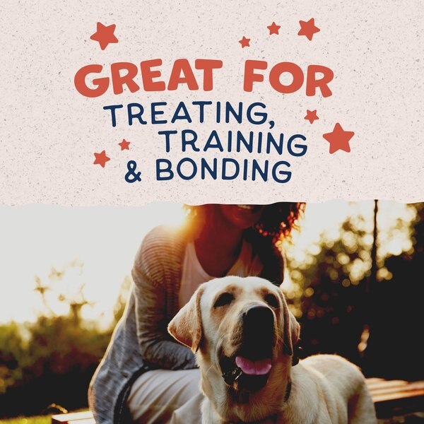 Show full view: Natural Balance Rewards Crunchy Biscuits with Real Salmon Dog Treat, 397-g bag slide 8 of 10