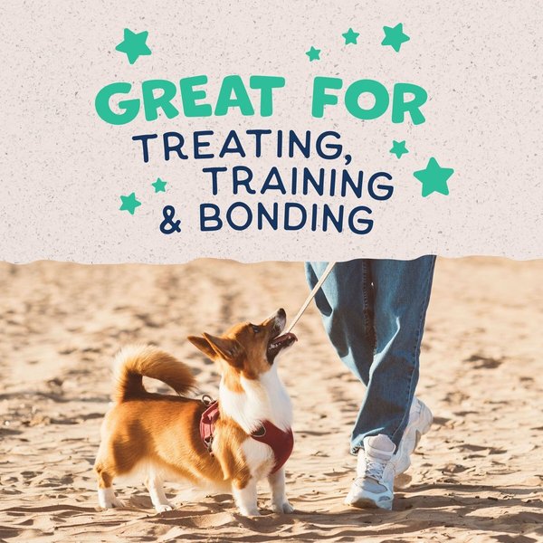 Show full view: Natural Balance Rewards Crunchy Biscuits with Real Chicken Dog Treats, 227-g bag slide 8 of 10