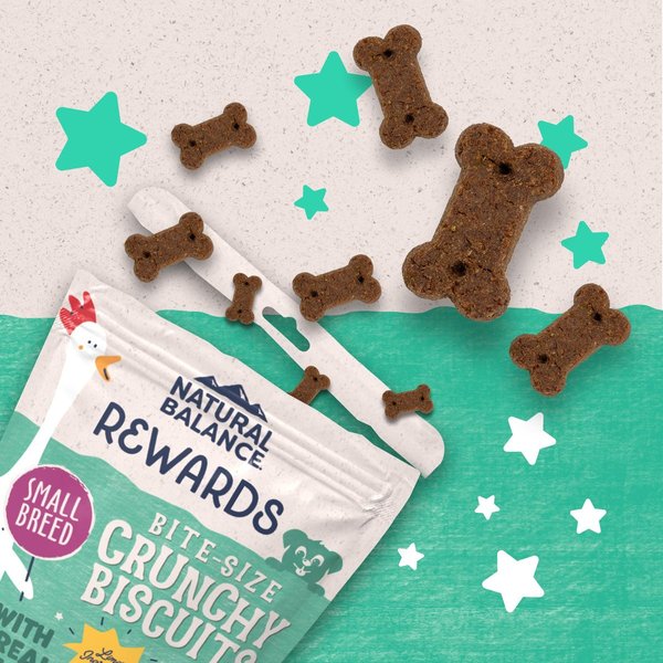 Show full view: Natural Balance Rewards Crunchy Biscuits with Real Chicken Dog Treats, 227-g bag slide 4 of 10