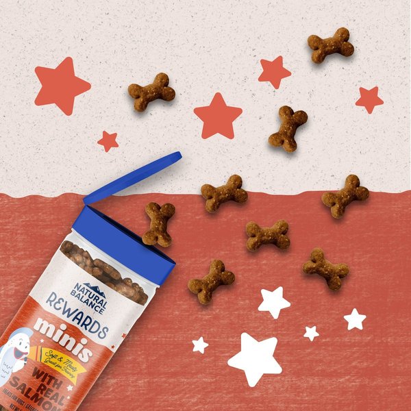 Show full view: Natural Balance Rewards Minis with Real Salmon Dog Treats, 150-g canister slide 3 of 7