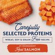 Show in main carousel: Natural Balance Limited Ingredient Grain-Free Salmon & Sweet Potato Small Breed Bites Recipe Dry Dog Food, 5.44-kg bag slide 2 of 9