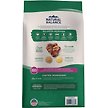 Show in main carousel: Natural Balance Limited Ingredient Lamb & Brown Rice Small Breed Bites Recipe Dry Dog Food, 1.81-kg bag slide 2 of 9
