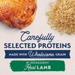 Show in main carousel: Natural Balance Limited Ingredient Lamb & Brown Rice Puppy Recipe Dry Dog Food, 10.9-kg bag slide 3 of 10