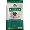Show in main carousel: Natural Balance Limited Ingredient Lamb & Brown Rice Puppy Recipe Dry Dog Food, 10.9-kg bag slide 2 of 10