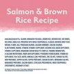 Show in main carousel: Natural Balance Limited Ingredient Salmon & Brown Rice Recipe Dry Dog Food, 10.9-kg bag slide 4 of 9
