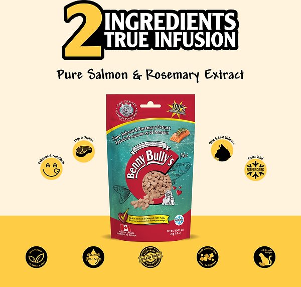 Show full view: Benny Bullys Salmon & Rosemary Chops Raw Freeze-Dried Cat Treats, 20-g bag slide 4 of 5