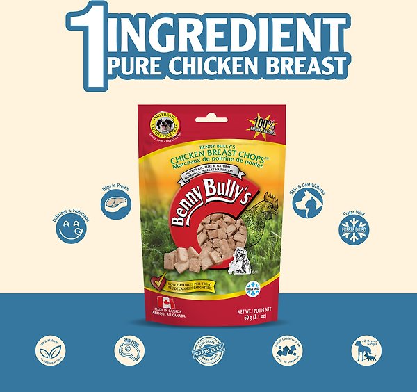 Show full view: Benny Bullys Chicken Breast Freeze-Dried Dog Treats, 60-g bag slide 4 of 6