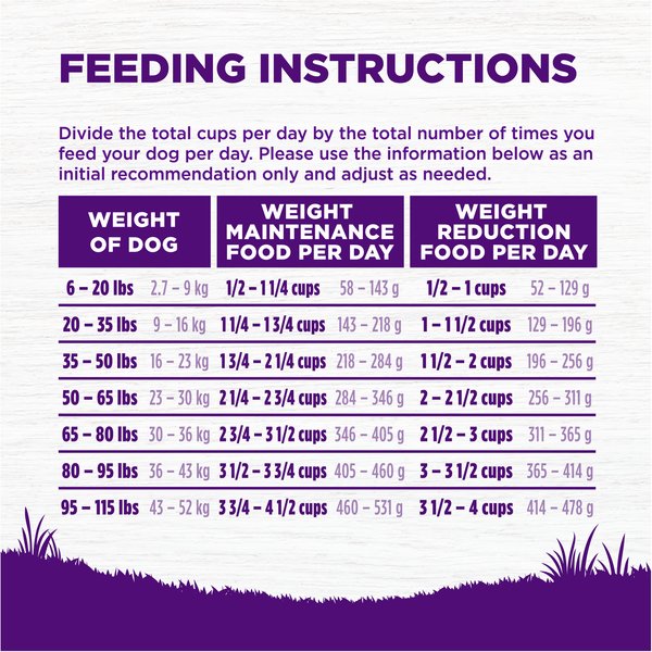 Show full view: Wellness Complete Health Sensitive Skin & Stomach Natural Adult Salmon & Rice Recipe Dry Dog Food, 10.88-kg bag slide 8 of 9