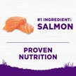 Show in main carousel: Wellness Complete Health Sensitive Skin & Stomach Natural Adult Salmon & Rice Recipe Dry Dog Food, 10.88-kg bag slide 2 of 9