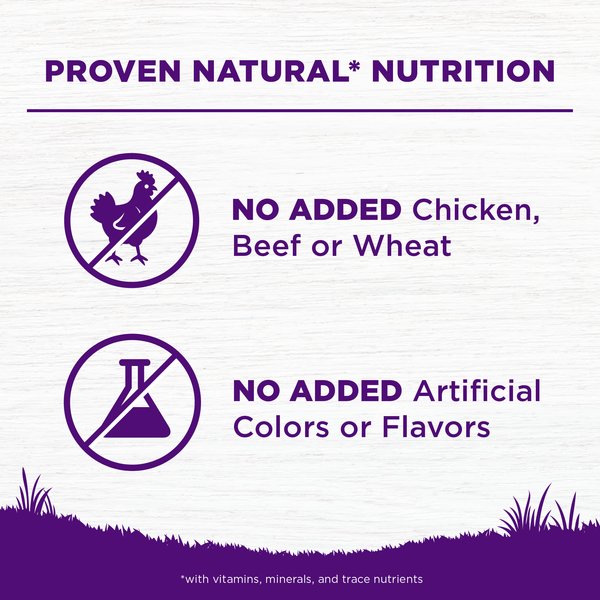 Show full view: Wellness Complete Health Sensitive Skin & Stomach Natural Adult Salmon & Rice Recipe Dry Dog Food, 10.88-kg bag slide 5 of 9