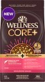 Wellness CORE+ Sensitive Skin & Stomach Natural Adult Salmon & Rice Recipe Dry Dog Food, 1.81-kg bag
