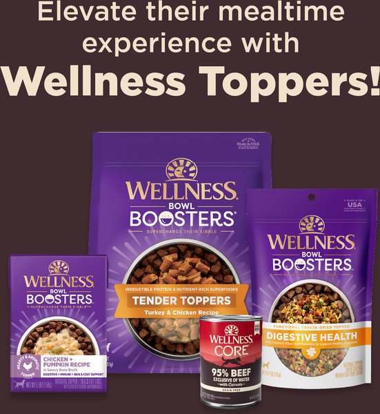 Show full view: Wellness CORE+ Sensitive Skin & Stomach Natural Adult Salmon & Rice Recipe Dry Dog Food, 1.81-kg bag slide 7 of 10