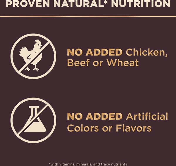 Show full view: Wellness CORE+ Sensitive Skin & Stomach Natural Adult Salmon & Rice Recipe Dry Dog Food, 1.81-kg bag slide 6 of 10