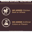 Show in main carousel: Wellness CORE+ Sensitive Skin & Stomach Natural Adult Salmon & Rice Recipe Dry Dog Food, 1.81-kg bag slide 6 of 10