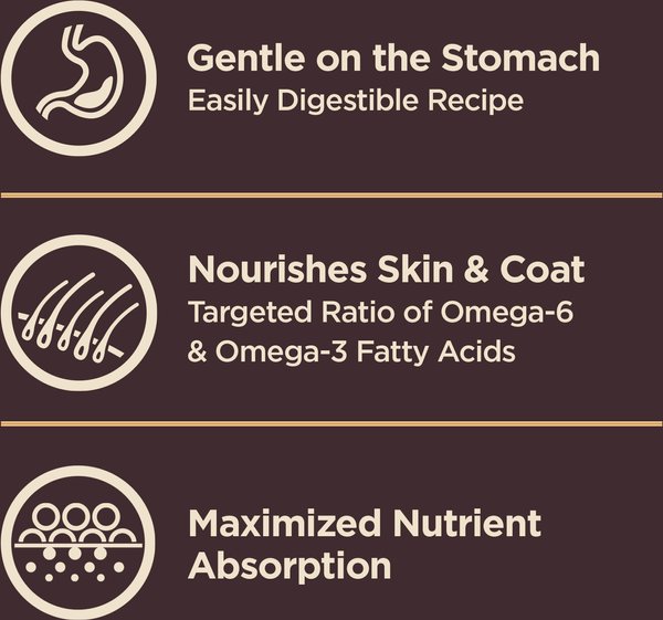 Show full view: Wellness CORE+ Sensitive Skin & Stomach Natural Adult Salmon & Rice Recipe Dry Dog Food, 1.81-kg bag slide 5 of 10