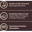 Show in main carousel: Wellness CORE+ Sensitive Skin & Stomach Natural Adult Salmon & Rice Recipe Dry Dog Food, 1.81-kg bag slide 5 of 10