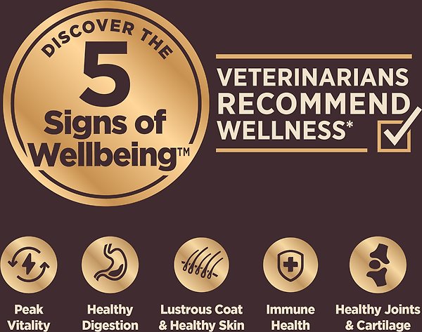 Show full view: Wellness CORE+ Sensitive Skin & Stomach Natural Adult Salmon & Rice Recipe Dry Dog Food, 1.81-kg bag slide 4 of 10