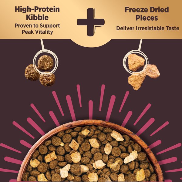 Show full view: Wellness CORE+ Sensitive Skin & Stomach Natural Adult Salmon & Rice Recipe Dry Dog Food, 1.81-kg bag slide 3 of 10