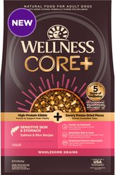 Wellness CORE+ Sensitive Skin & Stomach Natural Adult Salmon & Rice Recipe Dry Dog Food, 8.16-kg bag